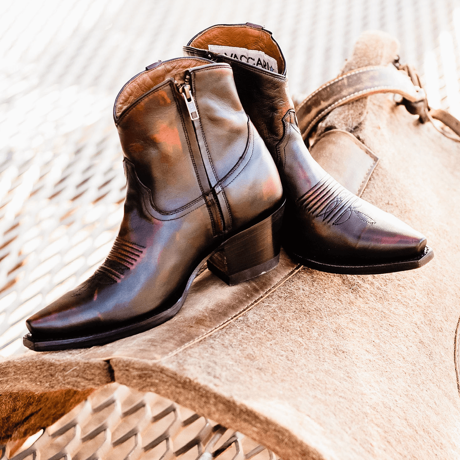 Vaccari 2025 boots website