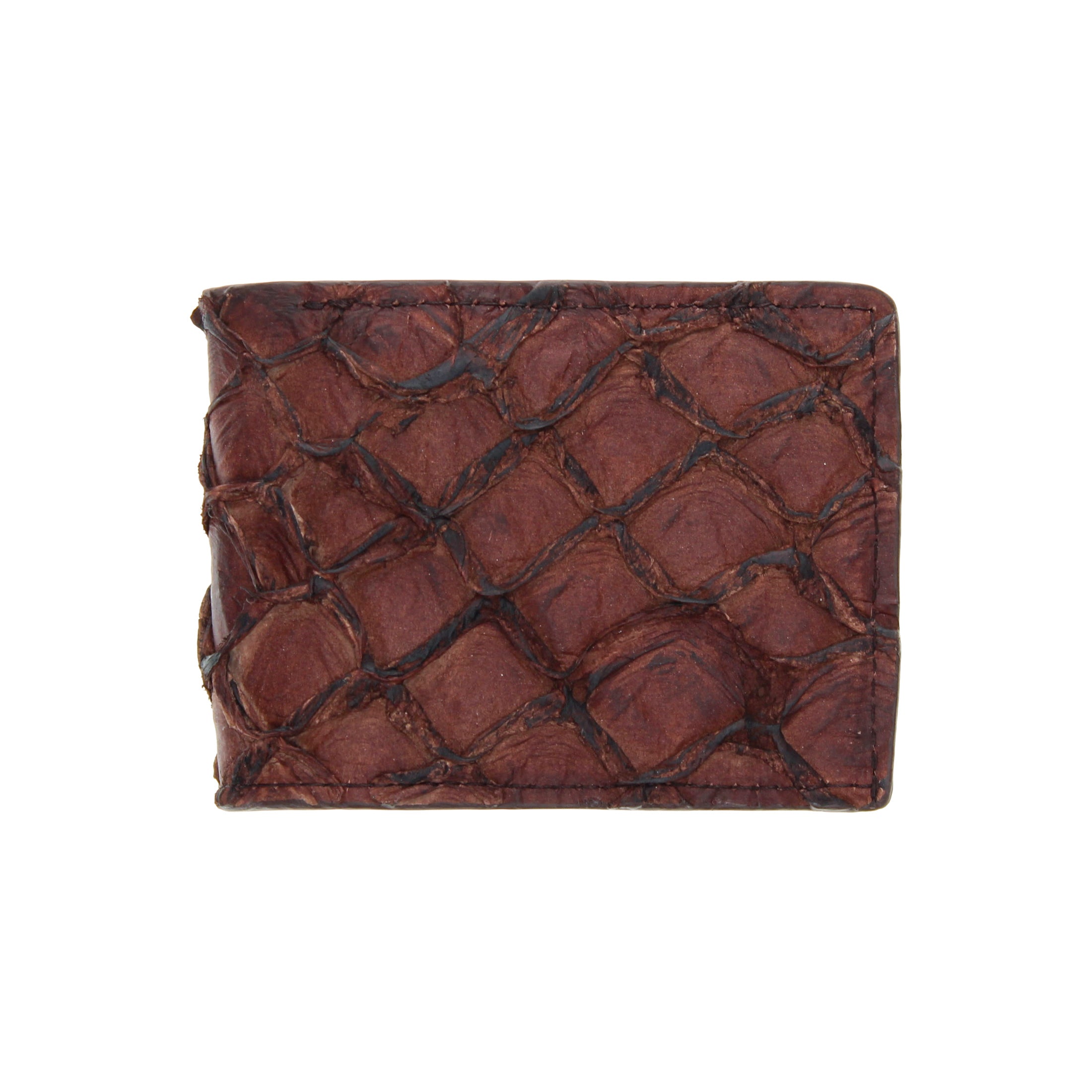Pirarucu Fish Billfold