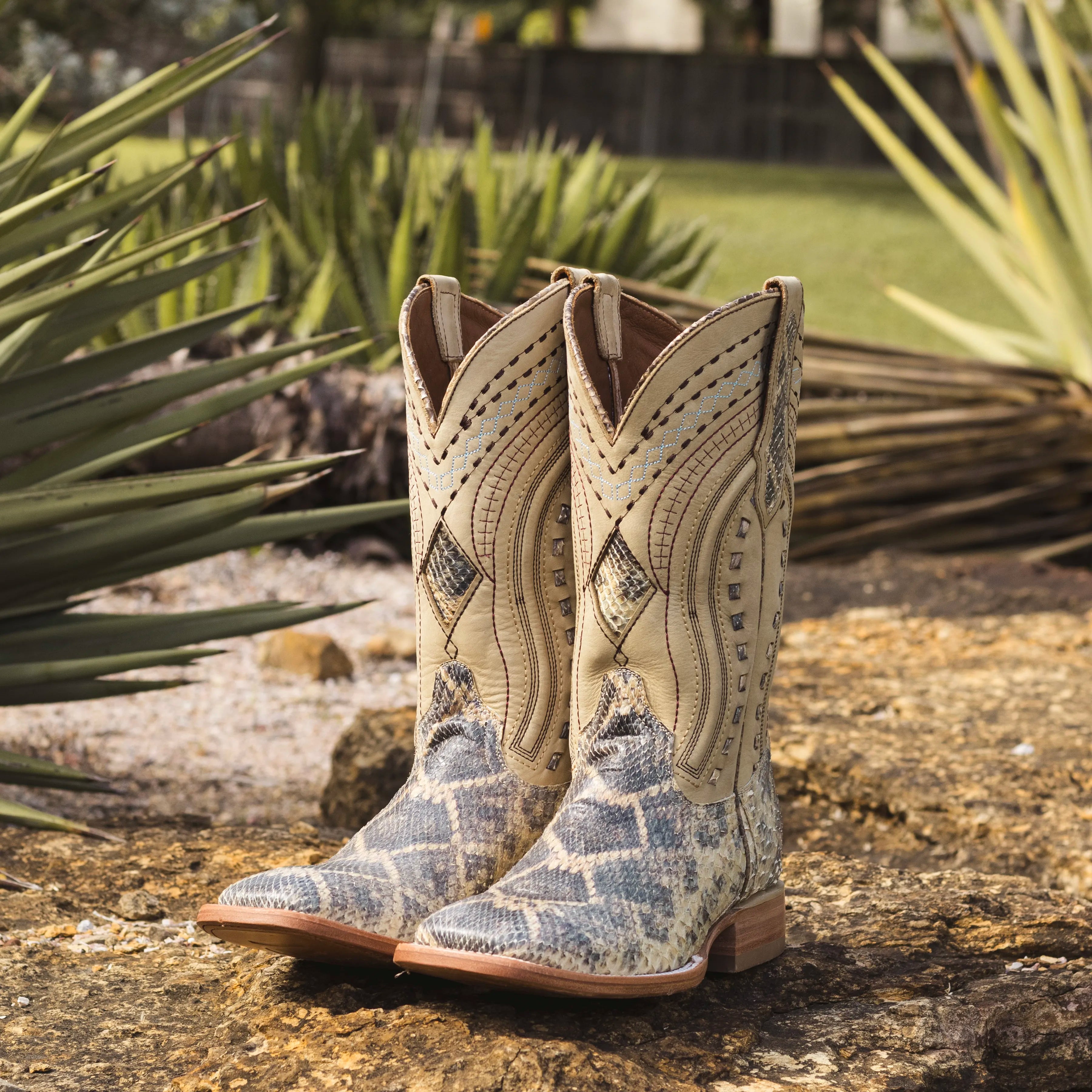 Men's Natural Rattlesnake Imprinted Python Square Toe Cowboy Boots by Vaccari