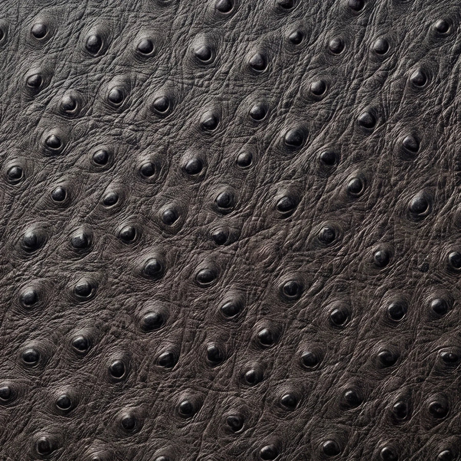 Full Quill Ostrich Print