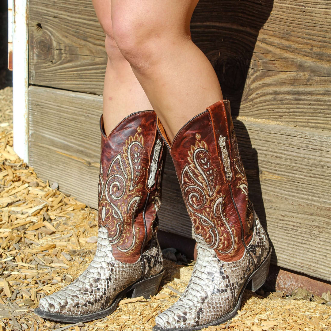 Women's Natural Python Snip Toe Western Boot by Vaccari