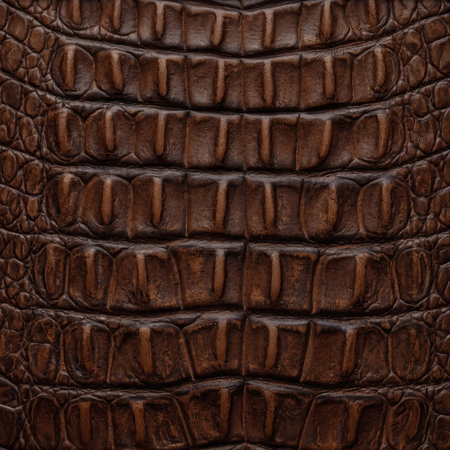 Hornback American Alligator Print