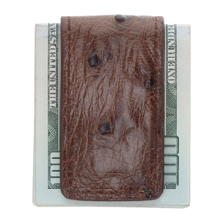 Mocha Full Quill Ostrich Money Clip by Vaccari