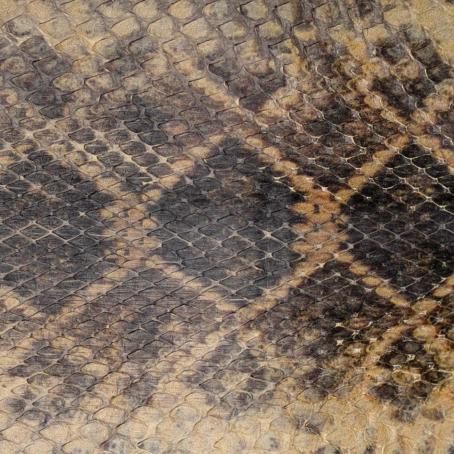 Rattlesnake Imprinted Python