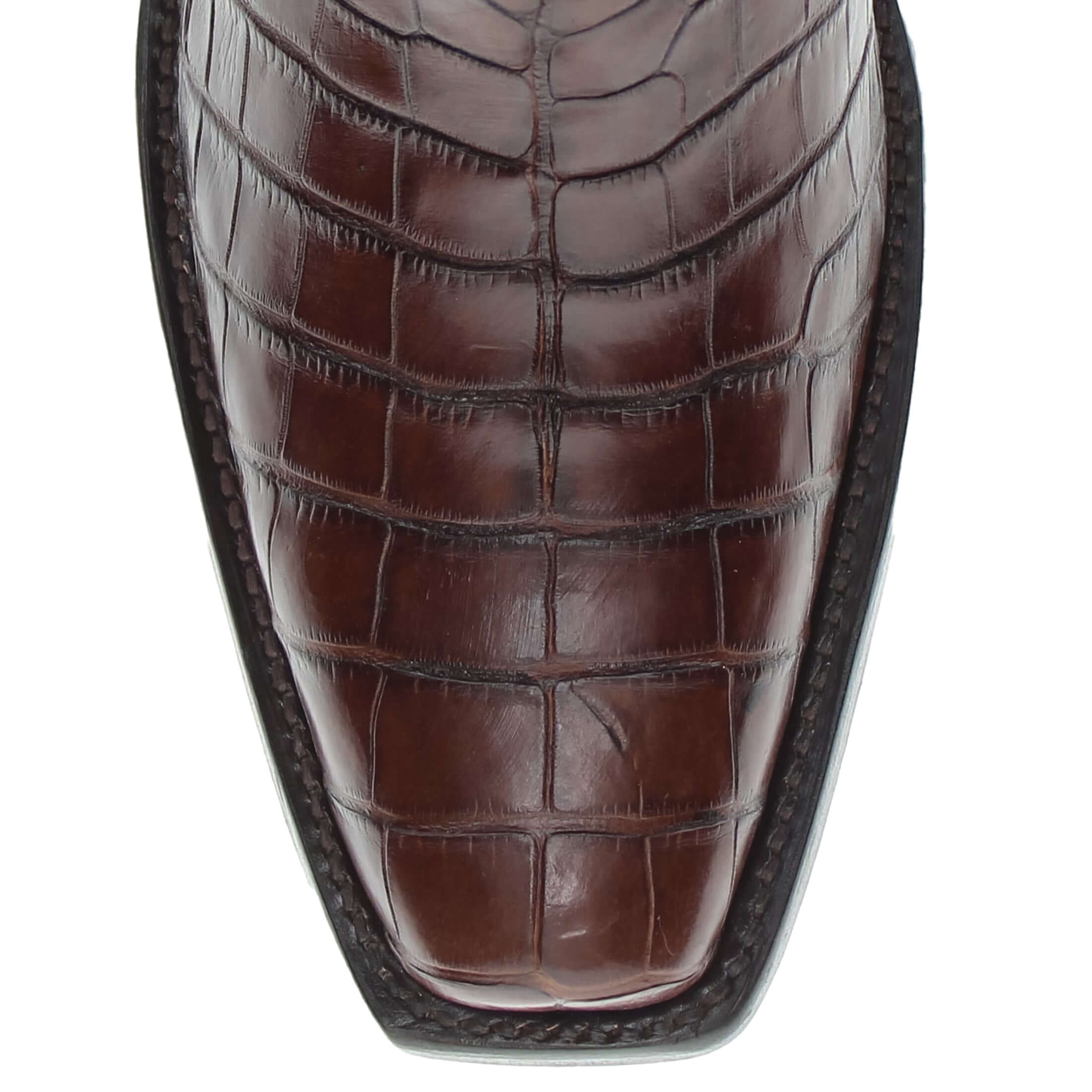 MEN'S AMERICAN ALLIGATOR BELLY MOCHA COWBOY BOOT by Vaccari