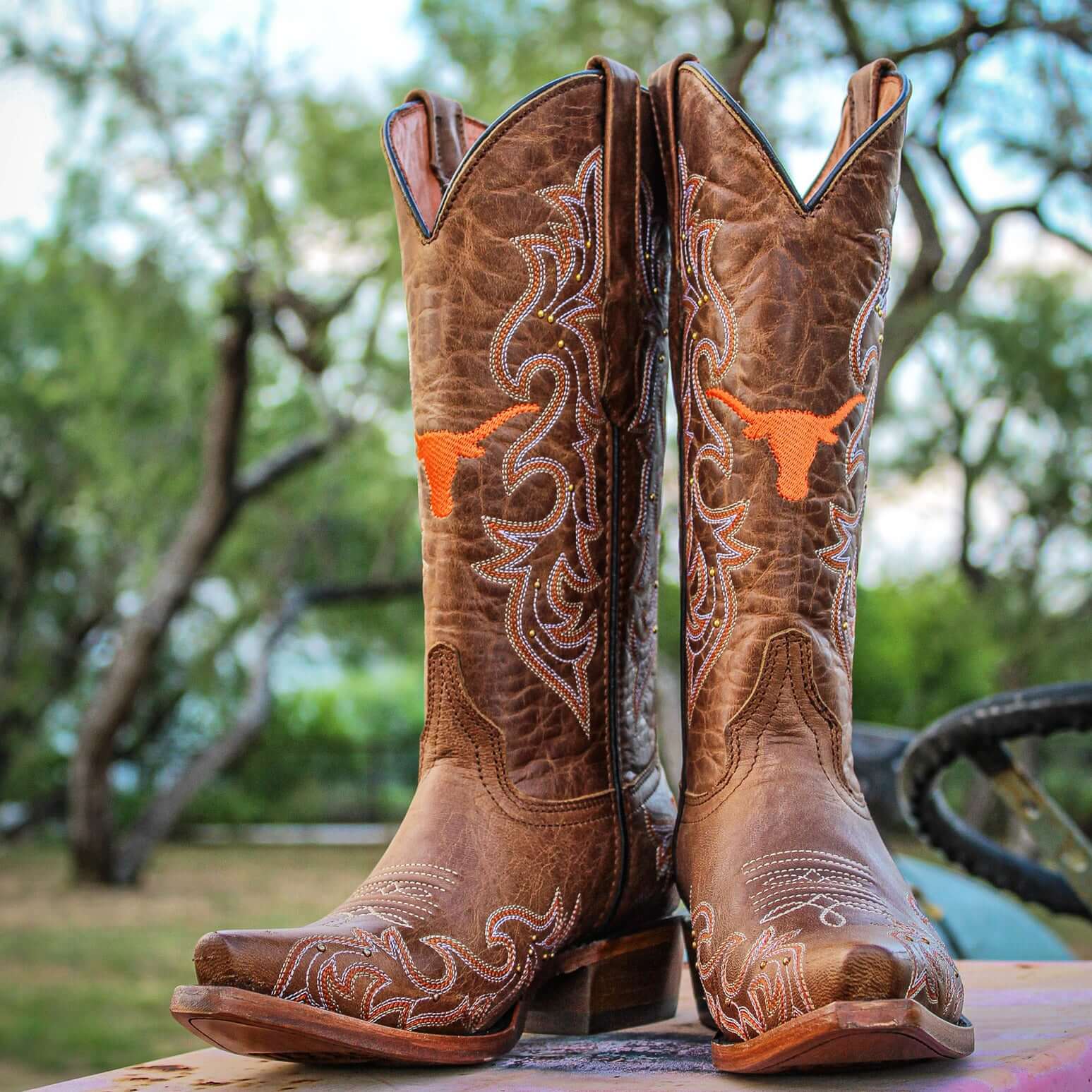 Women's University of Texas Longhorns Cowgirl Boots | Gold studs Tan Snip Toe Boots | Officially Licensed | Annie