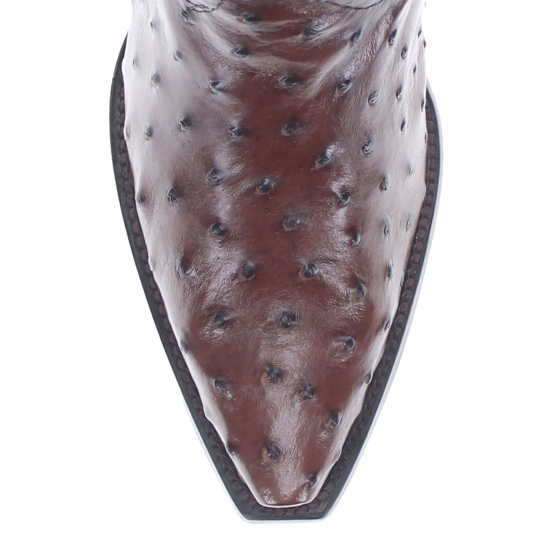 Womens Mocha Full Quill Ostrich Snip Toe Boots by Vaccari