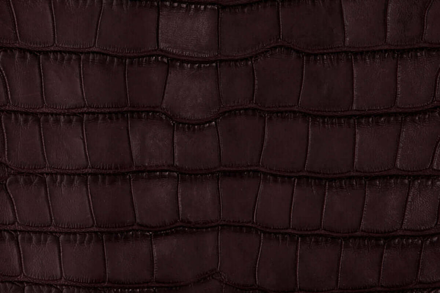 American Alligator Belly