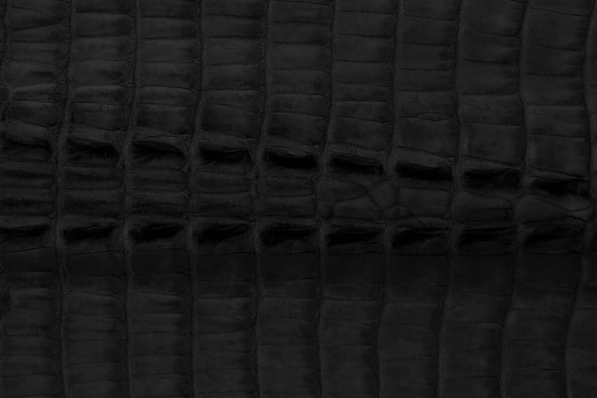 Swatch of American Alligator