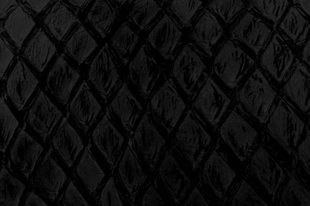 Swatch of Pirarucu Fish