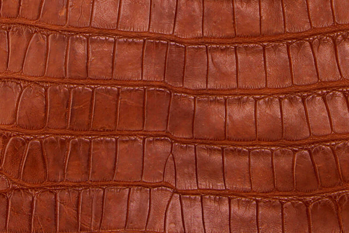 Cognac American Alligator Belly