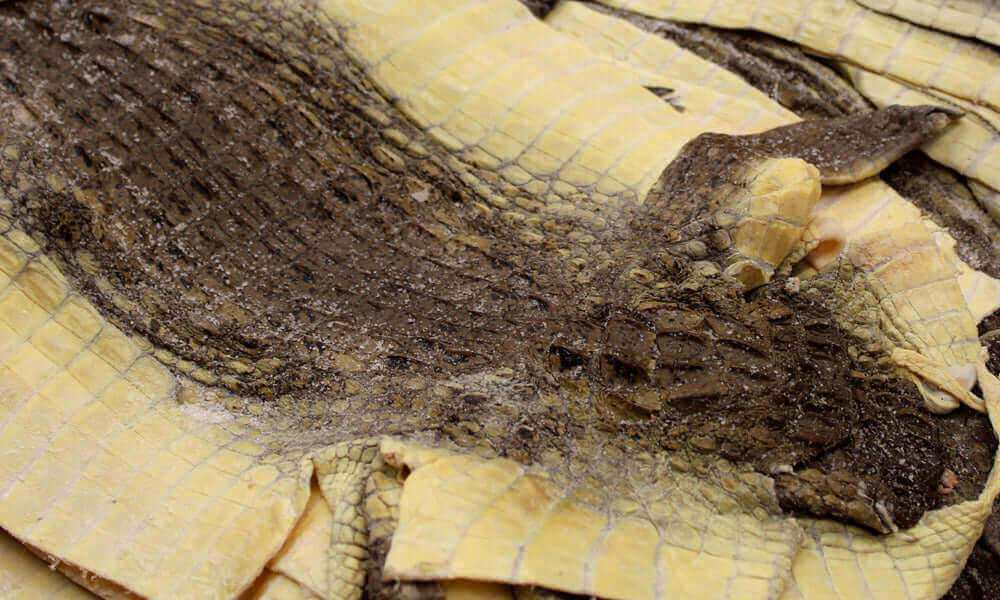 Leather from the factory