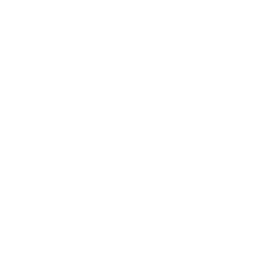 experts icon