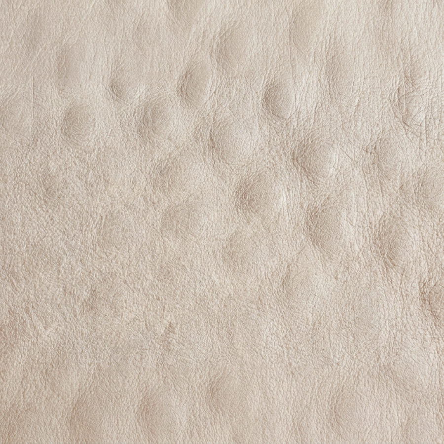 Smooth Ostrich