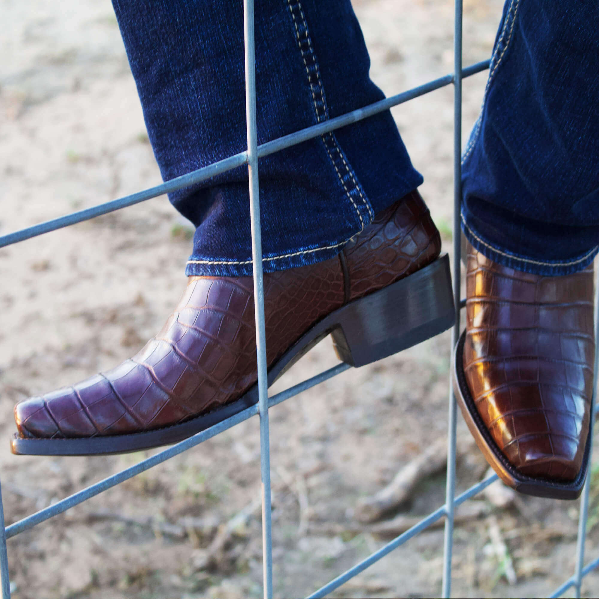 MEN'S AMERICAN ALLIGATOR BELLY MOCHA COWBOY BOOT by Vaccari