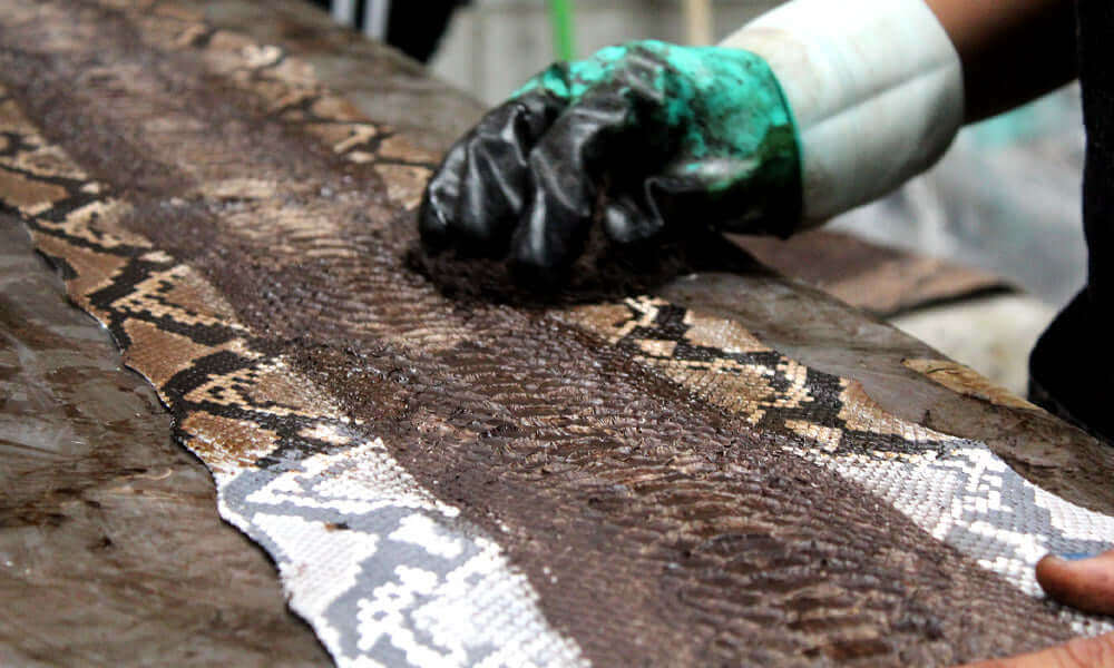 Python Leather