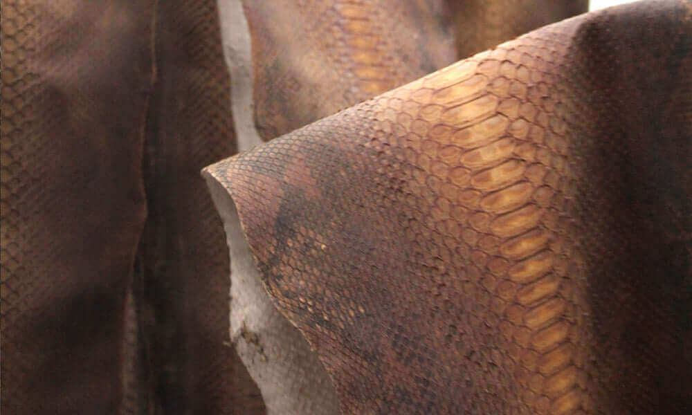 Python Leather