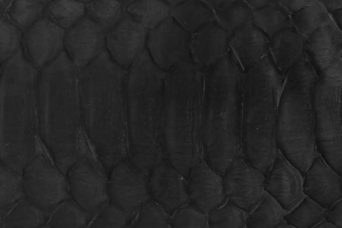 Swatch of Python Leather
