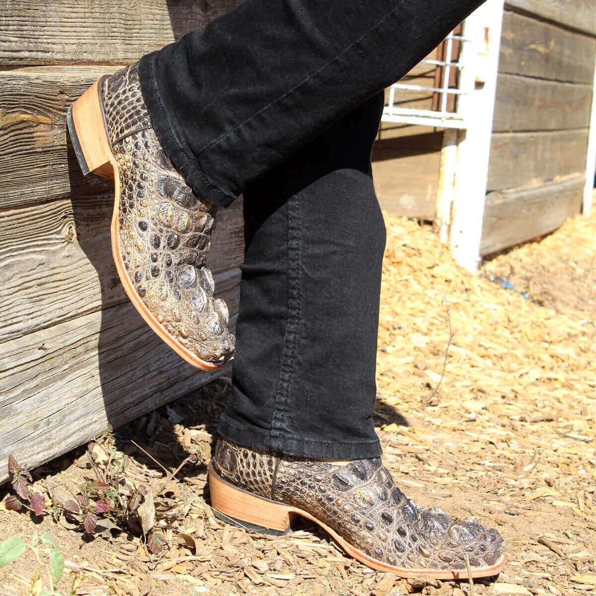 Men's Natural American Alligator Cowboy Boots Ryder by Vaccari Core