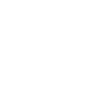 value icon