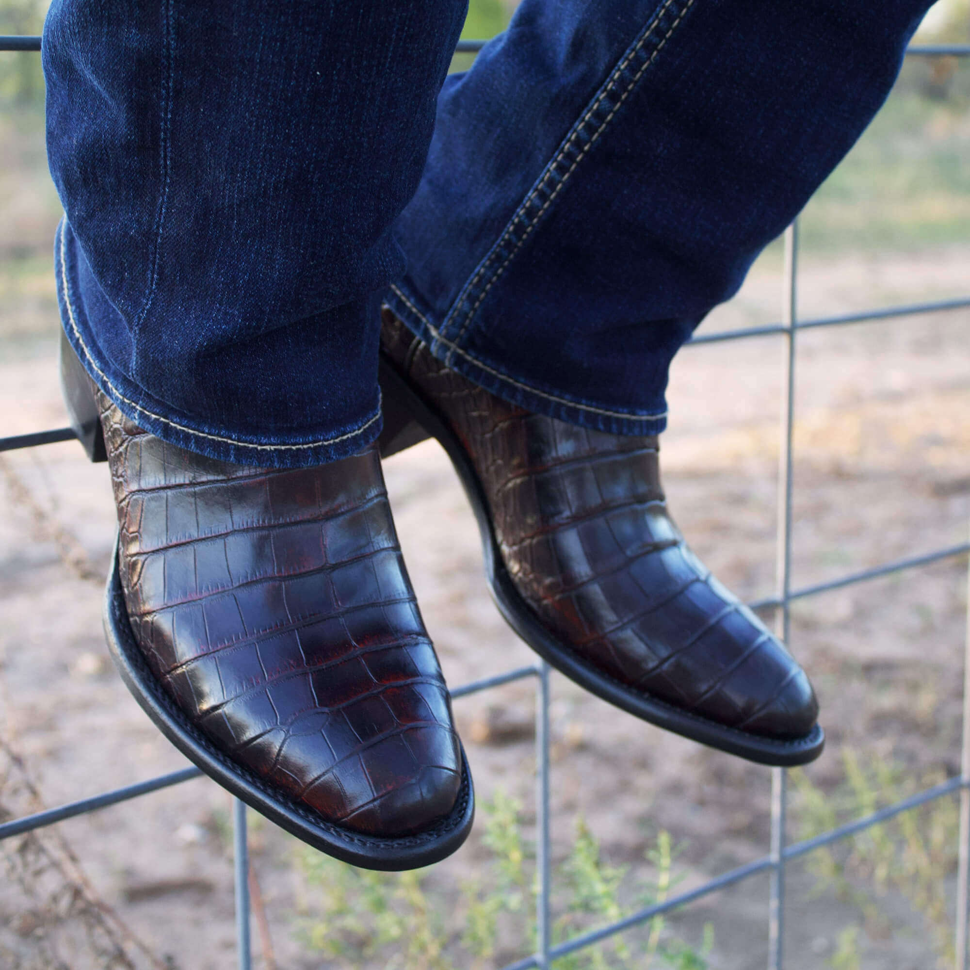 Mens Black Cherry American Alligator Belly Round Toe Western Boot That Looks Similar to Caiman Crocodile