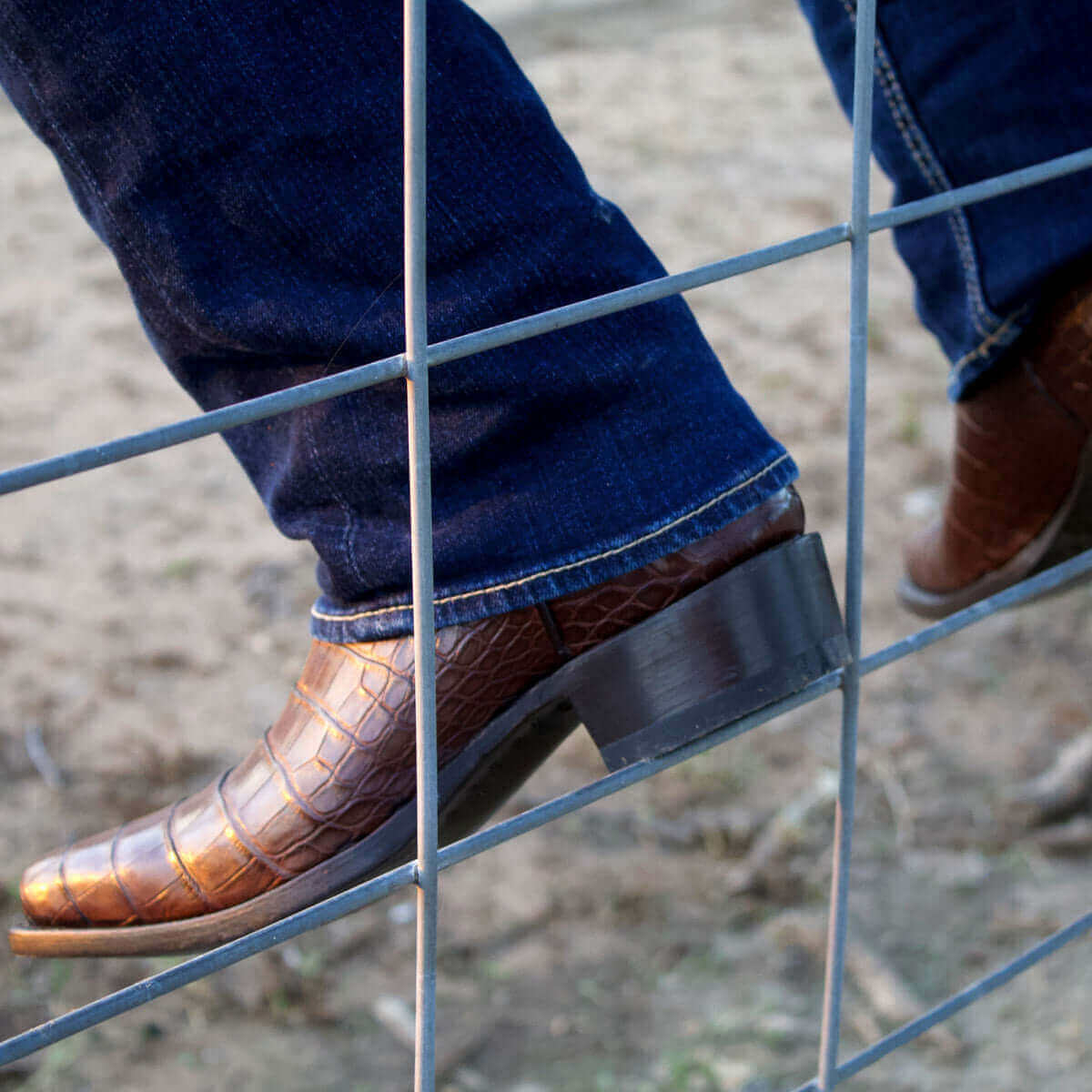Men's Mocha American Alligator Cowboy Boots Travis by Vaccari Core