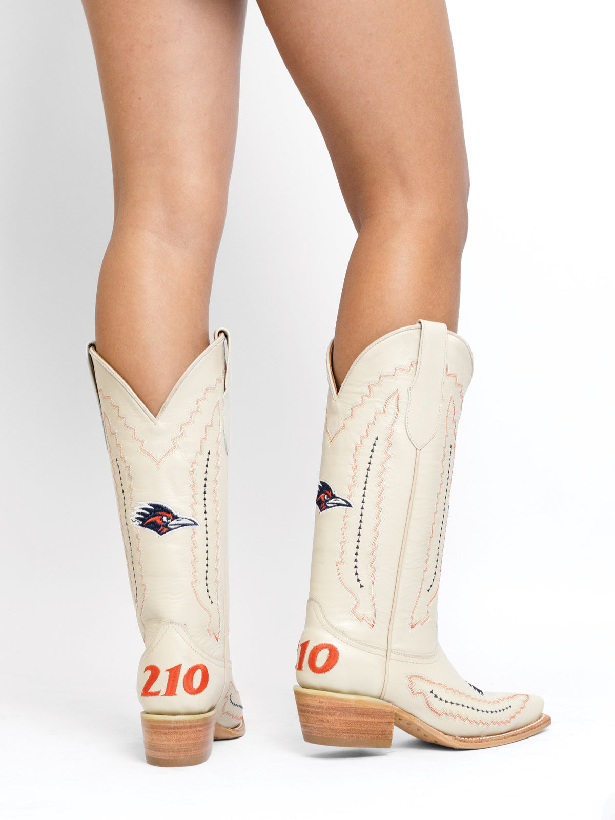 University of Texas at San Antonio: Anniversary Sale