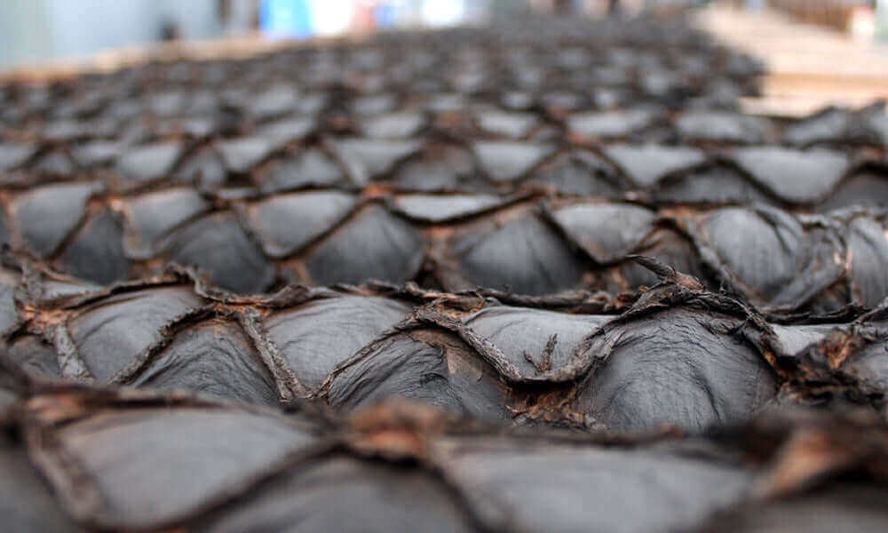 Pirarucu fish leather hide