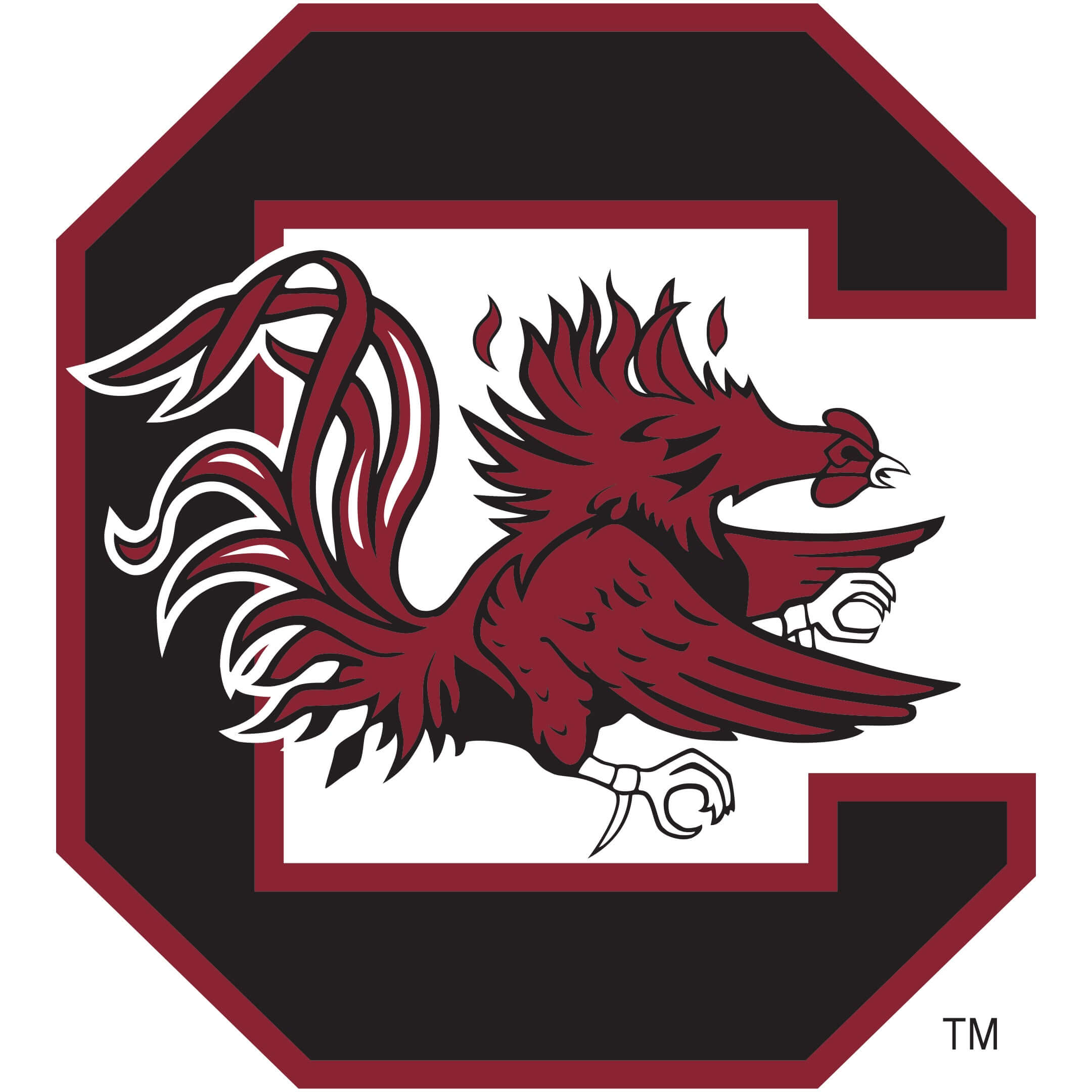 The University of South Carolina: Men's