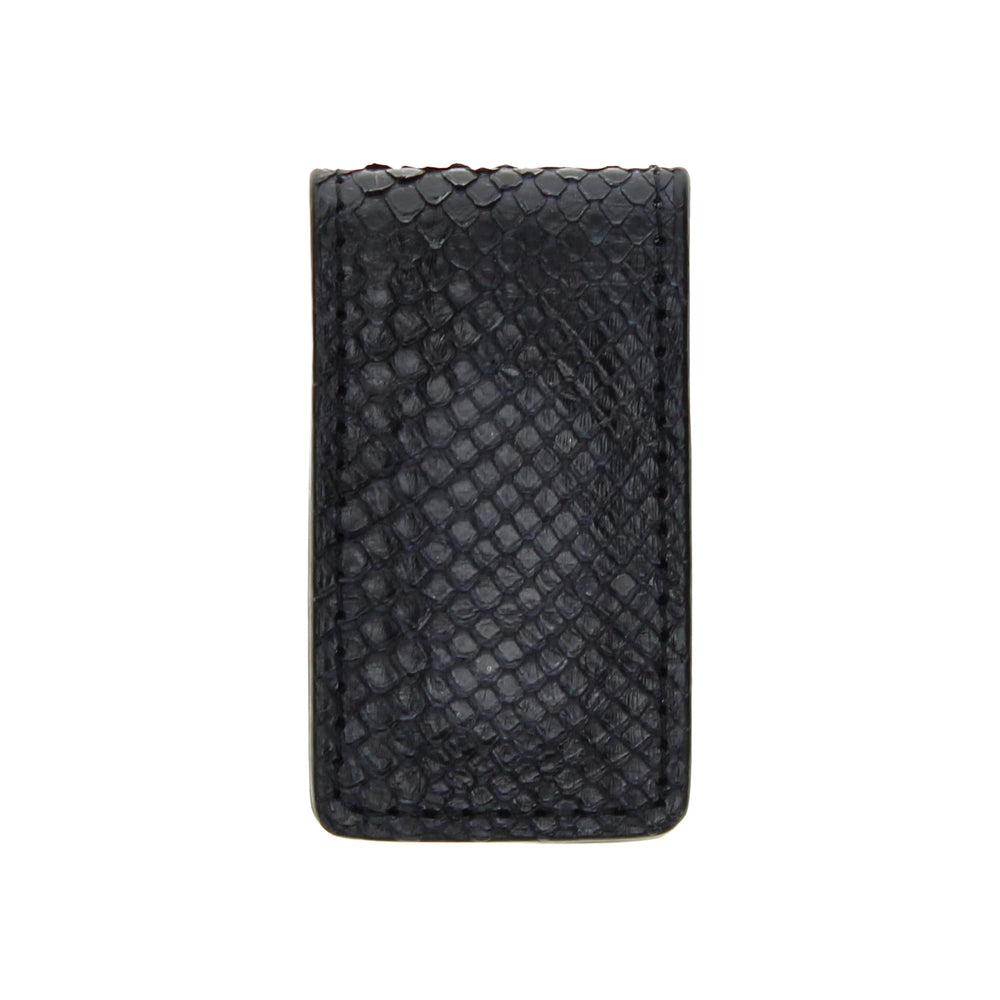 Python Money Clip
