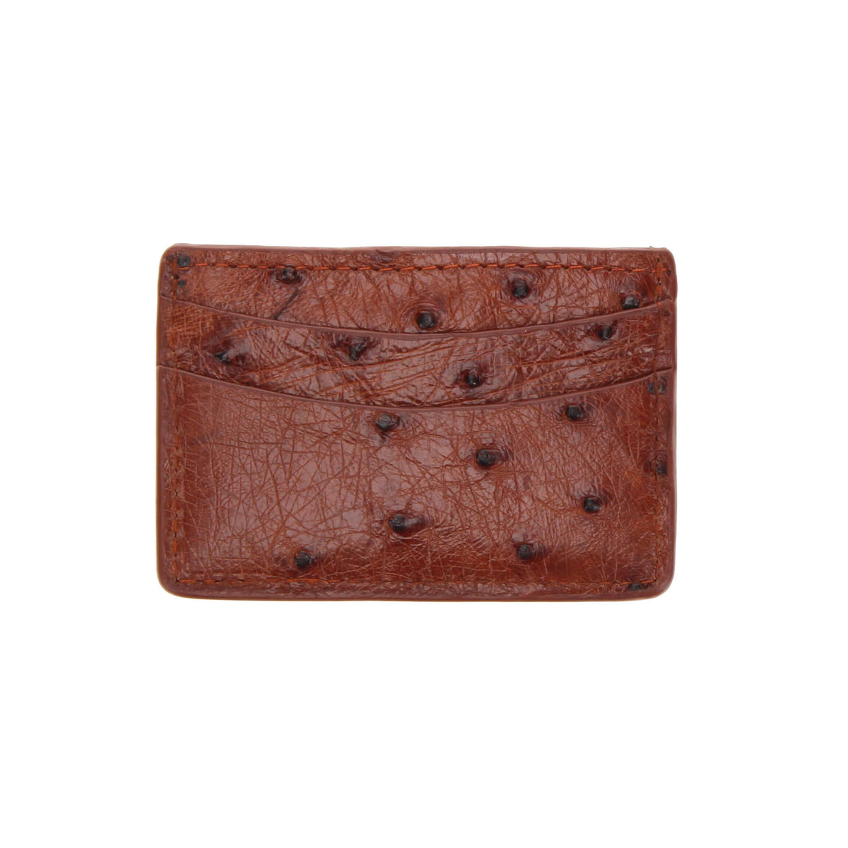 Brown ostrich leather card holder with stitched edge and quill texture