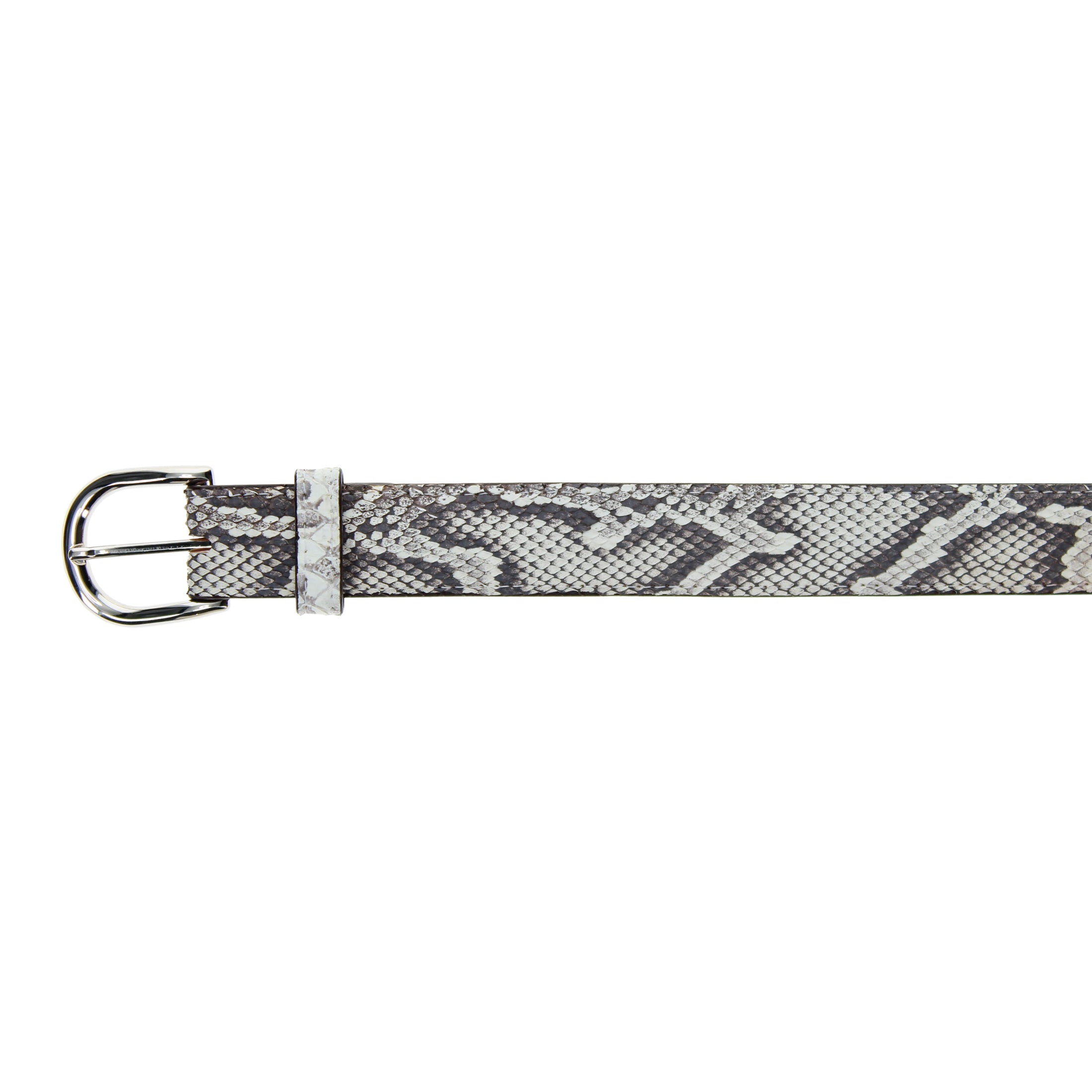 Python Belt