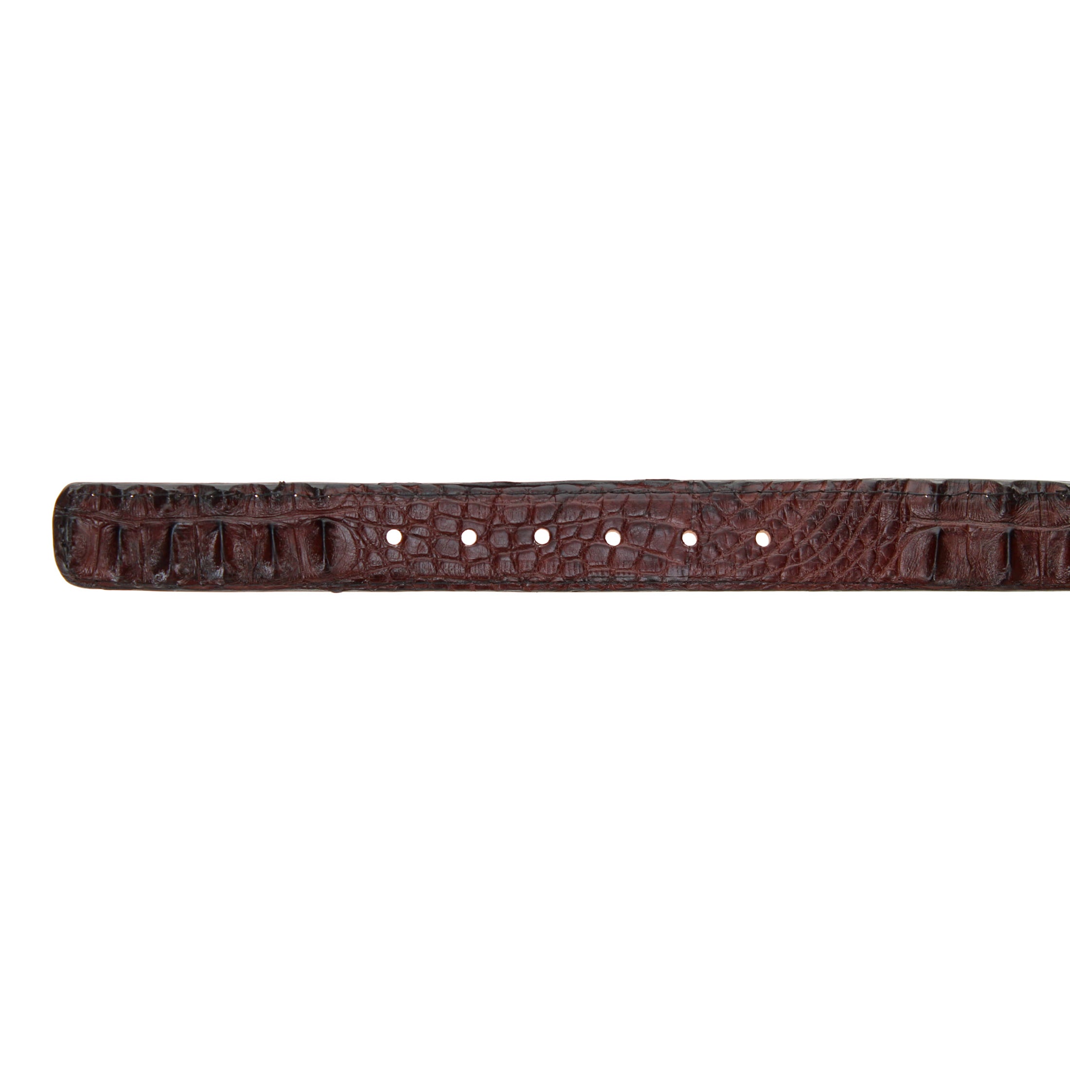 American Alligator Belt