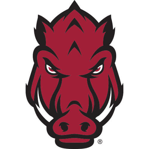 Arkansas thumbnail.jpg__PID:a47a9c8e-b9a4-4042-8a37-2f29053beea0