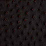 Black Cherry