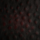 Black Cherry