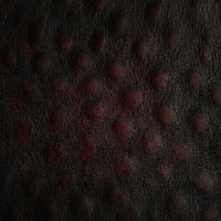 Black Cherry