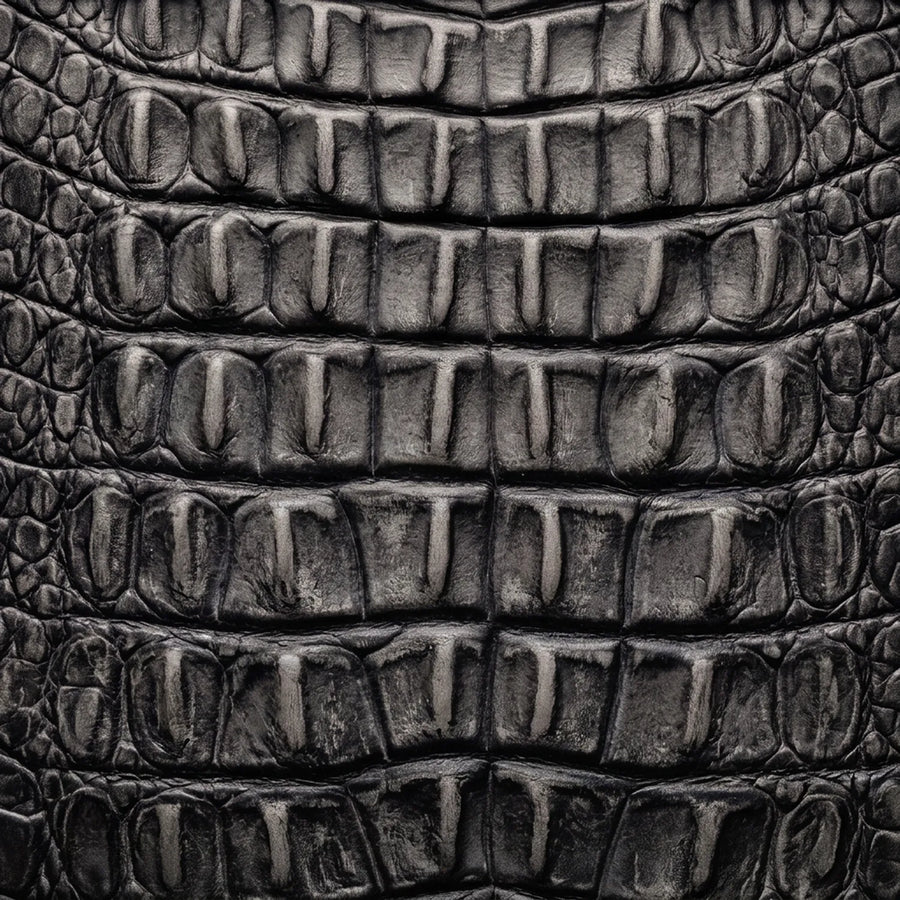 Hornback American Alligator Print