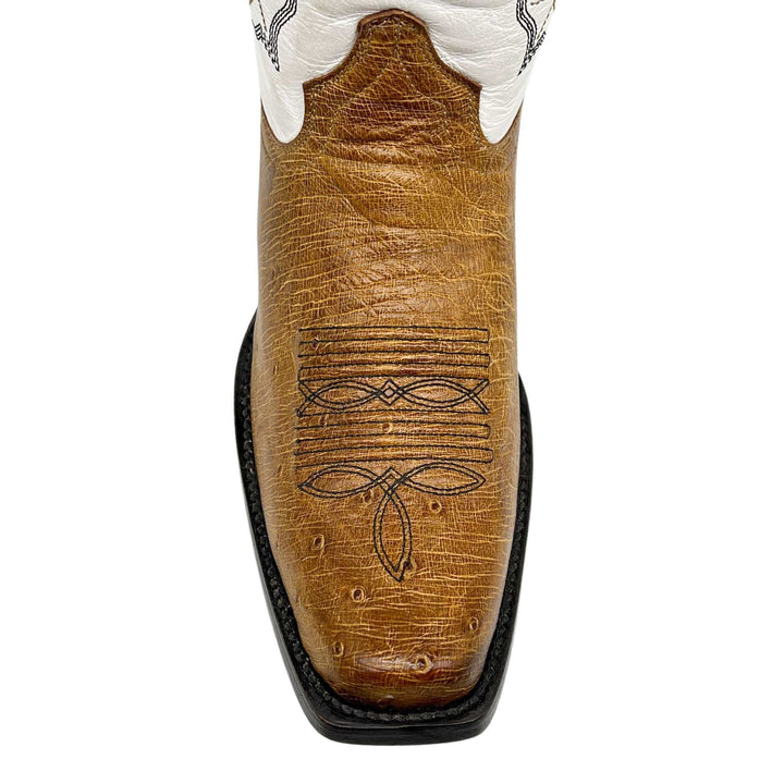 Men's University of Colorado Buffaloes Tan Smooth Ostrich Cowboy Boots Brooks by Vaccari #select-a-toe_jw