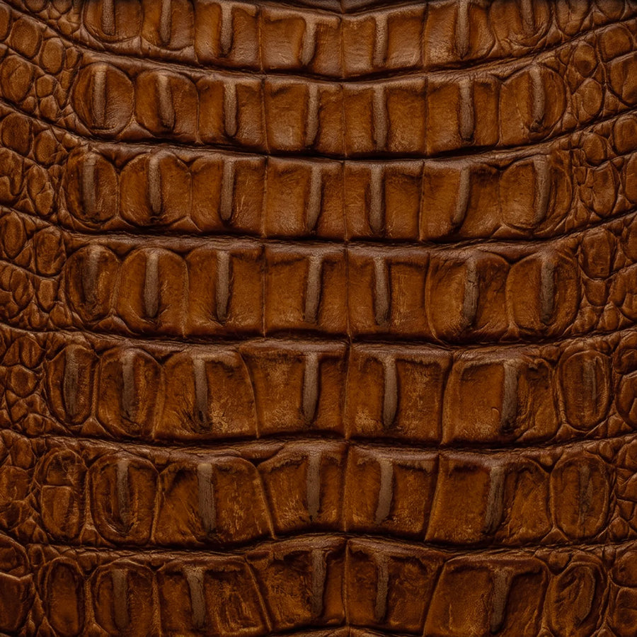 Hornback American Alligator Print