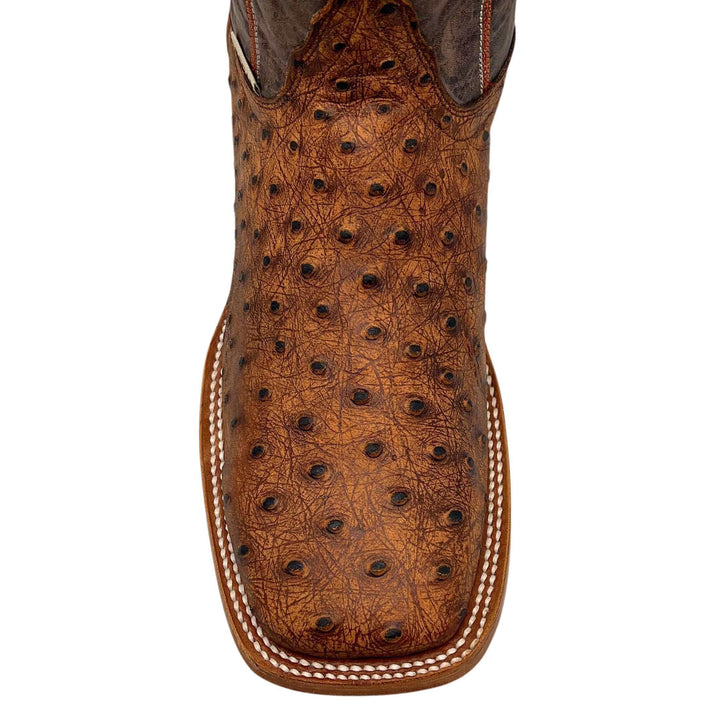 men's university of texas longhorns cowboy boots cognac ostrich print Cooper square toe