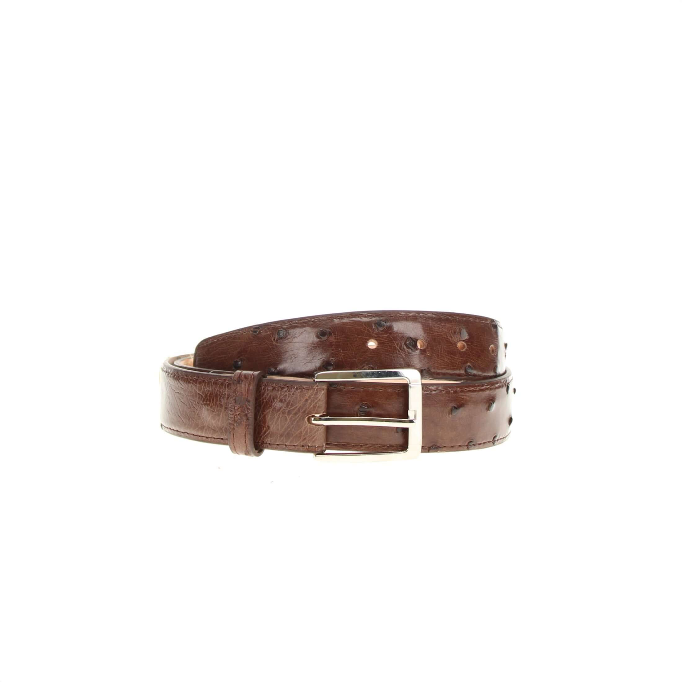 〈美品〉VOLK V-9 LEATHER BELT ブラウン Men's Mocha Full Quill Ostrich Belt | Vaccari Boots