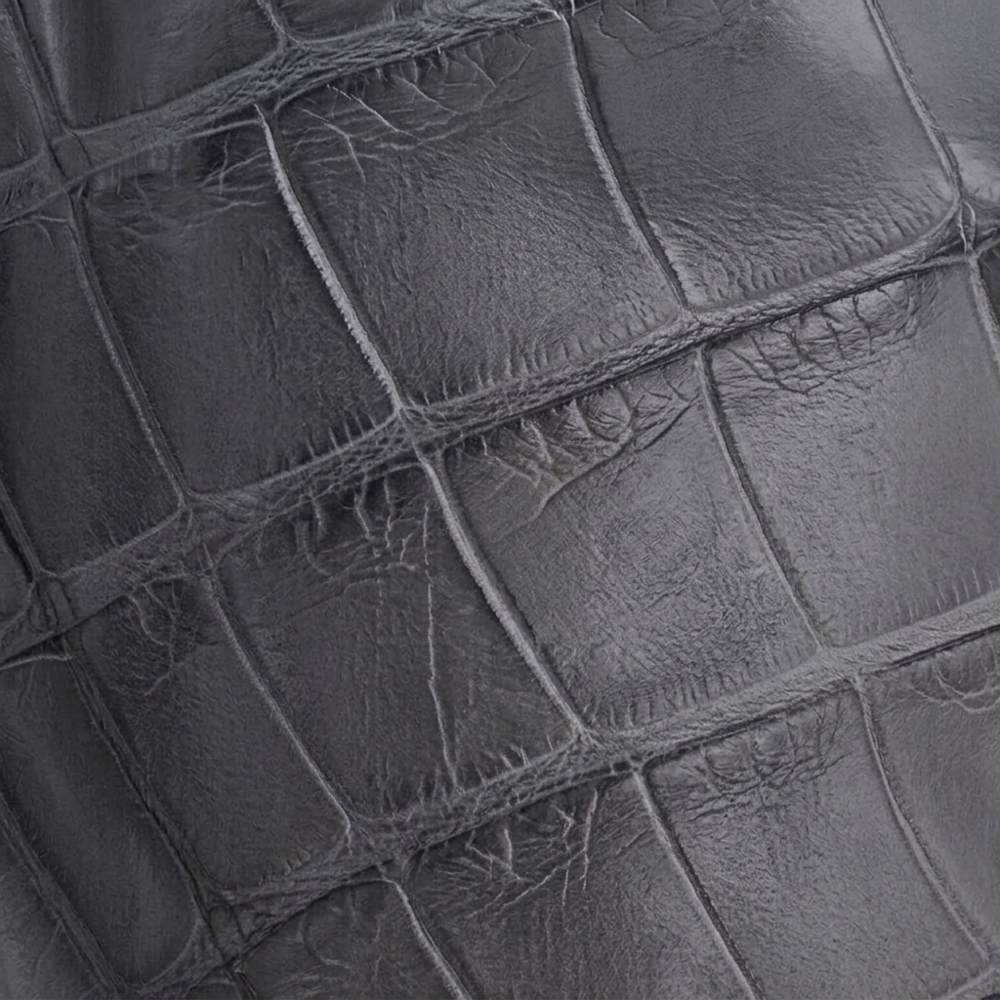 Wild Caught American Alligator Belly