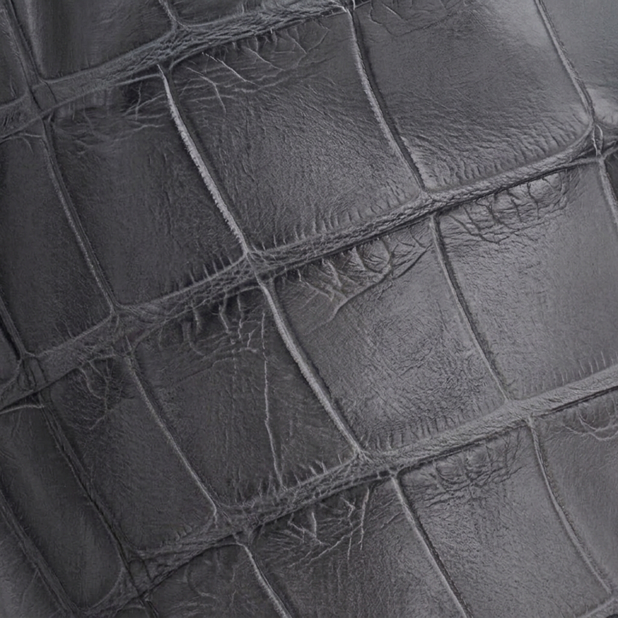 Wild Caught American Alligator Belly