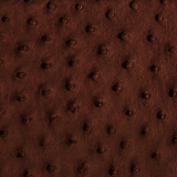 Mocha