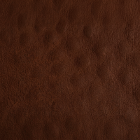 Mocha