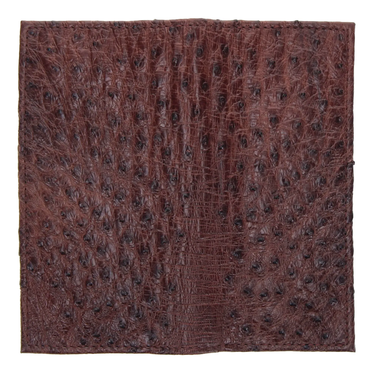 Dark brown ostrich checkbook wallet close-up, full quill texture.