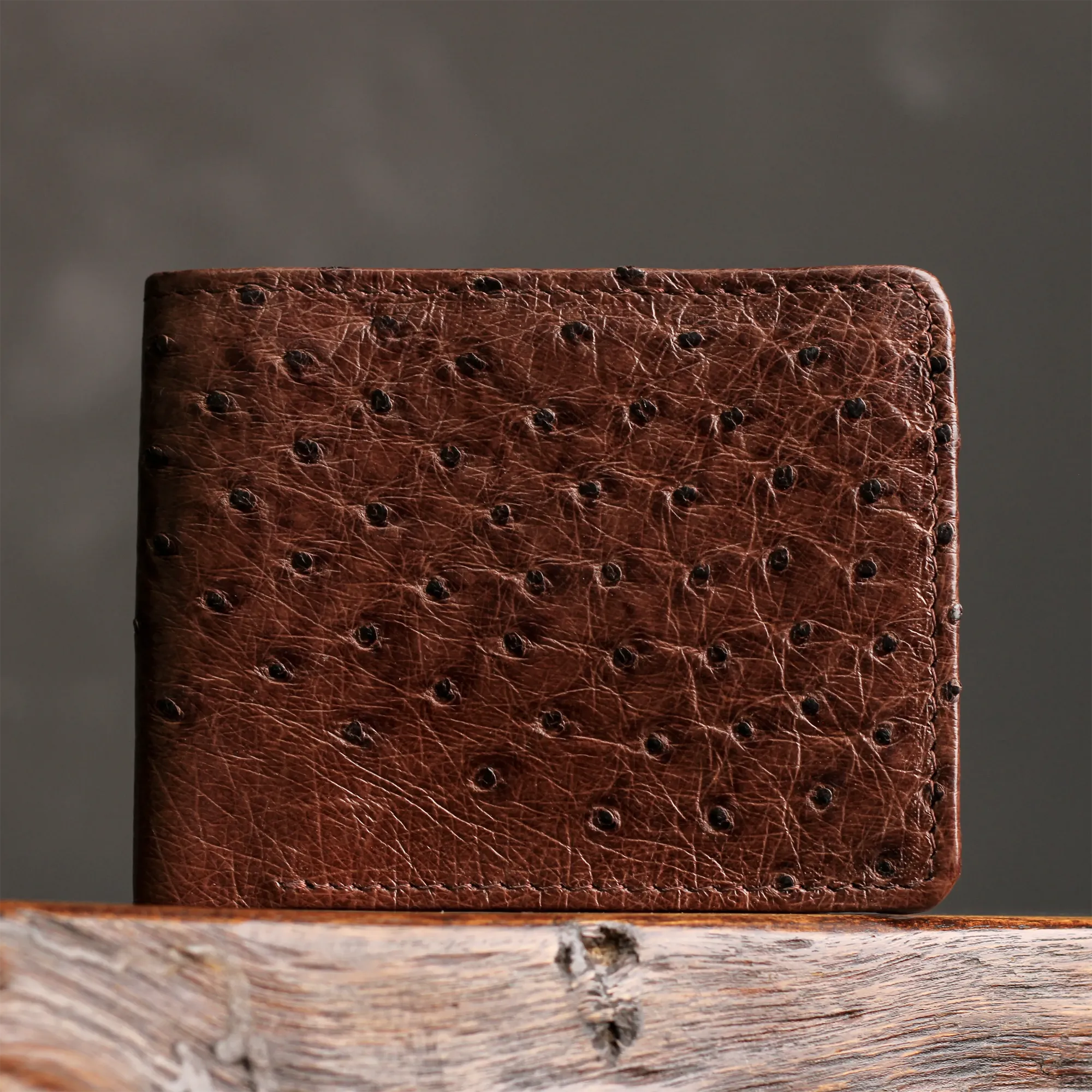 Mocha Full Quill Ostrich Billfold Wallet by Vaccari