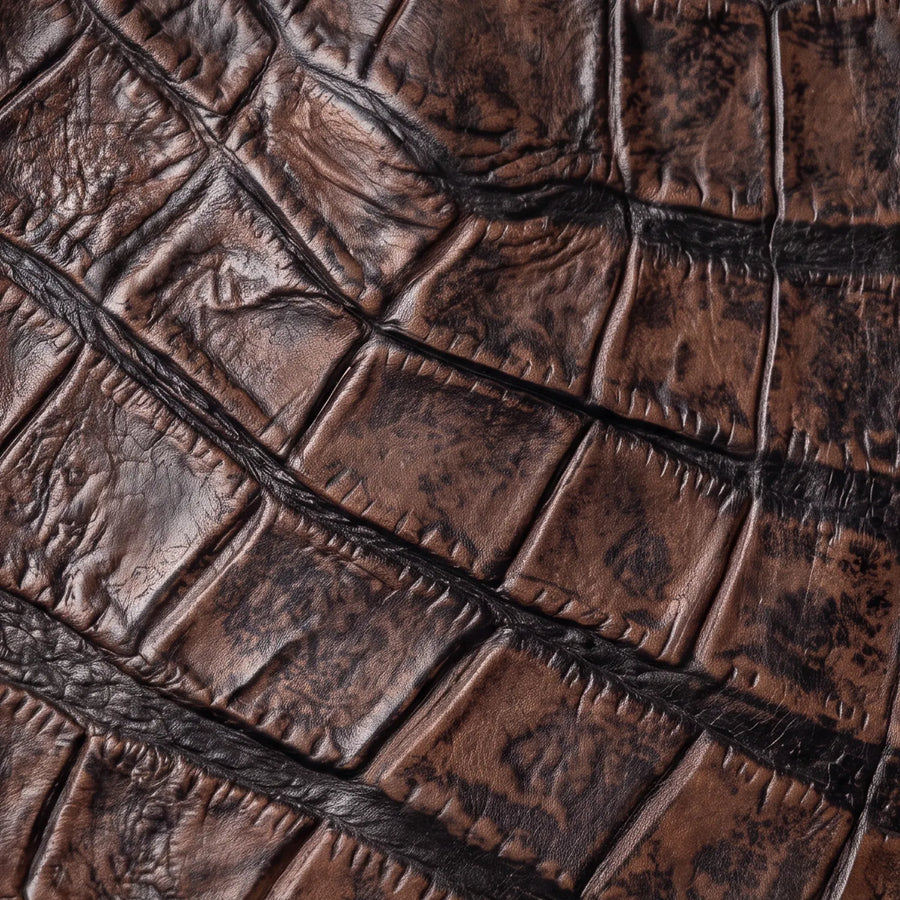 American Alligator Print