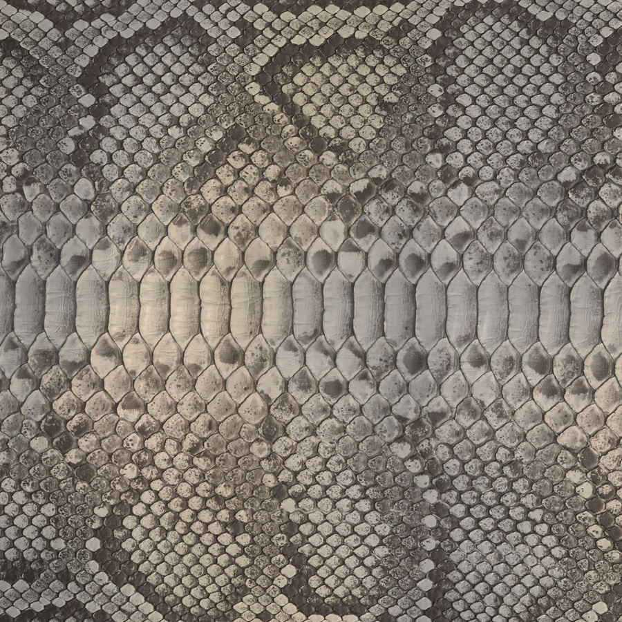 Python